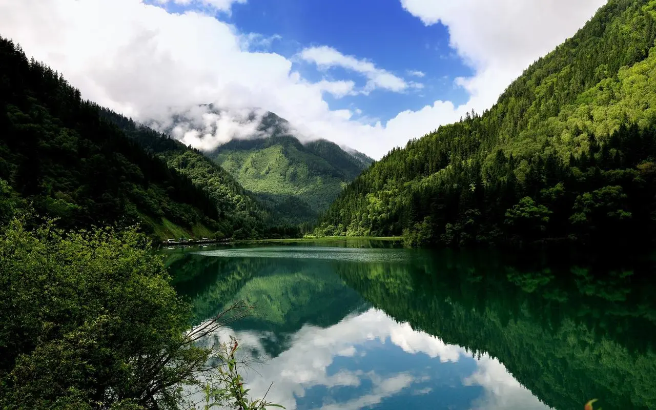 高端高标准智能